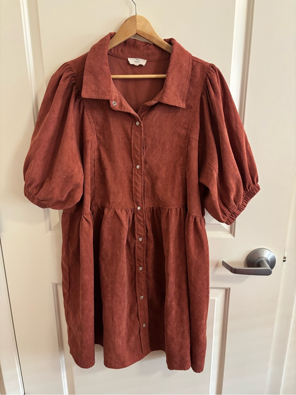 entro Rust Corduroy, Ribbed Pearl Snap Button-Up Collared Dress